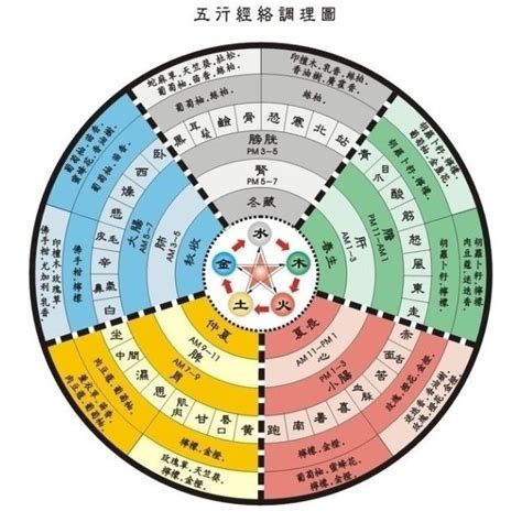 五術命格|五术（仙、医、命、卜、相的合称）